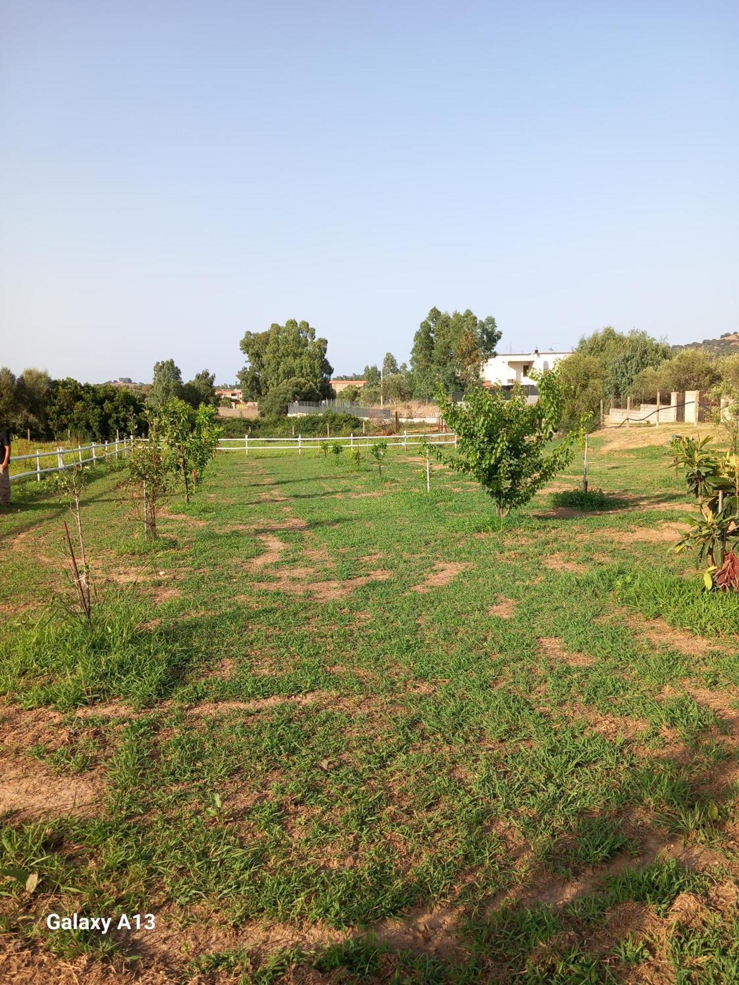Casa Con Bella Vista Apartment ซินิสโกลา ภายนอก รูปภาพ